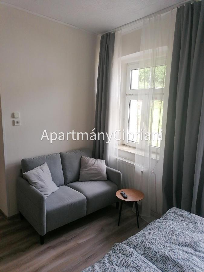 Apartmany Cipriani Jáchymov Exterior foto